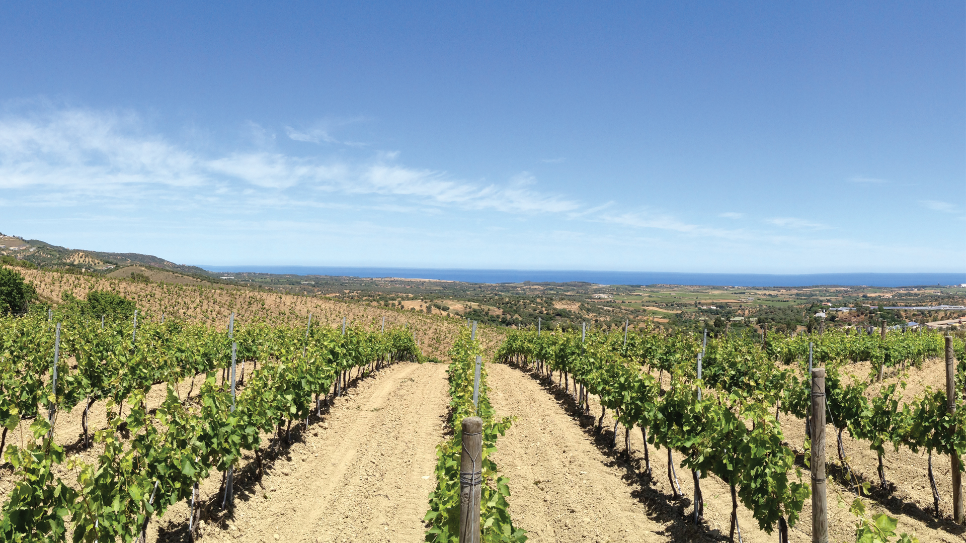Home_Vigneti-1 Home vigneti 1