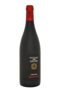 2k16-corvina-quadrivium-a 2k16 corvina quadrivium a