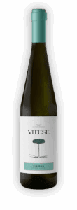 vitese_ombra-zibibbo Vitese ombra zibibbo